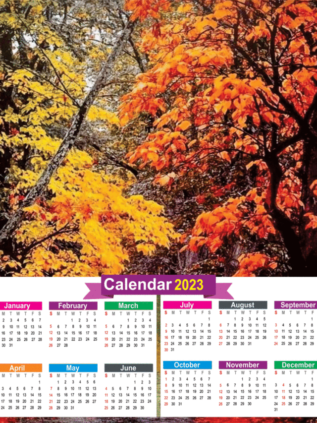 Calendar New Year 2023 | calendar 2023 india with holidays and festivals