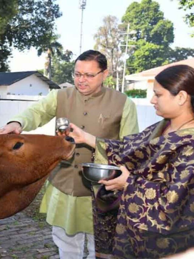 Cow worship in Indian culture | गाय की पूजा का भारतीय संस्कृति में विशेष महत्व