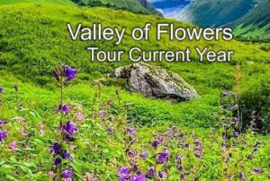 फूलों की घाटी की महिमा | Valley of Flowers Tour 