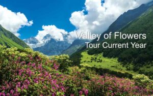 Valley of Flowers Tour | फूलों की घाटी की महिमा