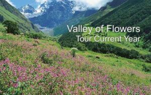 फूलों की घाटी की महिमा | Valley of Flowers Tour 