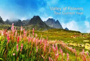 Valley of Flowers Enjoy | फूलों की घाटी का आनंद, valley of flowers uttarakhand ,valley of flowers trek , , valley of flowers national park , valley of flowers uttarakhand trek , valley of flowers in august , valley of flowers india , valley of flowers chamoli , how to reach valley of flowers , valley of flowers photos , valley of flowers chamoli uttarakhand , valley of flowers uttarakhand trek blog , valley of flowers national park uttarakhand , valley of flowers at uttarakhand , valley of flowers in june , valley of flowers , valley of flowers trek , valley of flowers national park , valley of flowers uttarakhand trek , valley of flowers uttarakhand , how to reach valley of flowers , valley of flowers in august , valley of flowers chamoli uttarakhand , best time to visit valley of flowers , valley of flowers india , valley of flowers chamoli , valley of flowers best time to visit , valley of flowers photos , valley of flowers hemkund sahib , valley of flowers uttarakhand trek blog , ,फूलों की घाटी की महिमा,फूलों की घाटी , तीनो लोको की माँ , राजेश्वरानंद महाराज जी की राम कथा , राजेश्वरानंद महाराज जी की हनुमंत कथा , जेठ मास की खरी दुपहरिया , की , धर्म की यात्रा , बिटिया की शादी , हिमालयी पर्वत श्रृंखला , मोहब्बत कर ले ली भाई ली खिल गया फूल सरसों का , राजेश्वरानंद जी महाराज , राजेश्वरानंद महाराज जी के भजन , स्वामी राजेश्वरानंद जी महाराज , केशकाल घाटी | keshkal ghati chhattisgarh | keshkal ghati video | vlogs rahul , राजेश्वरानंद महाराज जी के प्रवचन , हनुमान मंत्र , देवीशंकर सैनी , | फूलों की घाटी का आनंद, valley of flowers , valley of flowers trek , valley of flowers uttarakhand , valley of flowers national park , valley of flowers uttarakhand trek , valley of flowers in august , valley of flowers india , valley of flowers chamoli , how to reach valley of flowers , valley of flowers photos , valley of flowers chamoli uttarakhand , valley of flowers uttarakhand trek blog , valley of flowers national park uttarakhand , valley of flowers at uttarakhand , valley of flowers in june , valley of flowers , valley of flowers trek , valley of flowers national park , valley of flowers uttarakhand trek , valley of flowers uttarakhand , how to reach valley of flowers , valley of flowers in august , valley of flowers chamoli uttarakhand , best time to visit valley of flowers , valley of flowers india , valley of flowers chamoli , valley of flowers best time to visit , valley of flowers photos , valley of flowers hemkund sahib , valley of flowers uttarakhand trek blog , ,फूलों की घाटी की महिमा,फूलों की घाटी , तीनो लोको की माँ , राजेश्वरानंद महाराज जी की राम कथा , राजेश्वरानंद महाराज जी की हनुमंत कथा , जेठ मास की खरी दुपहरिया , की , धर्म की यात्रा , बिटिया की शादी , हिमालयी पर्वत श्रृंखला , मोहब्बत कर ले ली भाई ली खिल गया फूल सरसों का , राजेश्वरानंद जी महाराज , राजेश्वरानंद महाराज जी के भजन , स्वामी राजेश्वरानंद जी महाराज , केशकाल घाटी | keshkal ghati chhattisgarh | keshkal ghati video | vlogs rahul , राजेश्वरानंद महाराज जी के प्रवचन , हनुमान मंत्र , देवीशंकर सैनी , Valley of Flowers Enjoy ,valley of flowers , valley of flowers trek , valley of flowers national park , valley of flowers chamoli , valley of flowers in august , valley of flowers uttarakhand , valley of flowers in june , valley of flowers hemkund sahib , valley of flowers uttarakhand trek , valley of flowers india , valley of flowers photos , valley of flowers tour plan , valley of flowers trek guide , flowers , valley of flowers august 2019 , valley of flowers trek budget , valley of flowers in september , फूलों की घाटी का आनंद, फूलों की घाटी , #फूलों की घाटी , फूलों की घाटी राष्ट्रीय उद्यान , डाली डाली फूलों की , नदियां तथा नदियों की घाटी , phulu की घाटी , ये छोटी सी बात “आनंद” बरसा देगी.. , #नदियांतथानदियोंकीघाटी , #नदियोंतथानदियोंकीघाटी , फूल , फूलदेई त्यौहार , कौन है जो बच्चों को जन्म देने के बाद मर जाता है , गुलावट इंदौर , इंदौर पर्यटन स्थल , पूरा हिंदुस्तान मिलेगा , पूरा हिंदुस्तान मिलेगा कविता , पूरा हिंदुस्तान मिलेगा प्रश्न उत्तर , valley of flowers by bus , valley of flowers uttarakhand 2022 , valley of flowers , valley of flowers , valley of flowers trek , valley of flowers national park , valley of flowers uttarakhand , valley of flowers uttarakhand trek , how to reach valley of flowers , valley of flowers india , valley of flowers in august , best time to visit valley of flowers , valley of flowers chamoli uttarakhand , valley of flowers chamoli , valley of flowers best time to visit , valley of flowers uttarakhand trek blog , valley of flowers , valley of flowers trek , valley of flowers uttarakhand , valley of flowers uttarakhand trek , valley of flowers national park , valley of flowers uttarakhand trek blog , valley of flowers chamoli uttarakhand , valley of flowers national park uttarakhand , how to reach valley of flowers , valley of flowers india , valley of flowers in august , valley of flowers chamoli , valley of flowers photos , valley of flowers at uttarakhand , best time to visit valley of flowers , valley of flowers photos , 