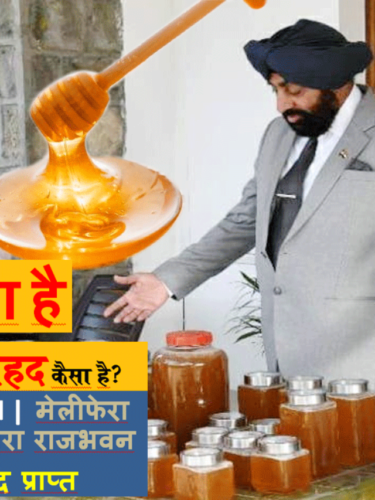 Honey UK Governor Brand | मेलीफेरा प्रजाति की मधुमक्खियां द्वारा राजभवन में 41 किलोग्राम शहद प्राप्त