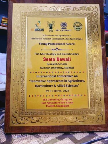 Young Professional Award | यंग प्रोफेशनल अवार्ड से सम्मानित हुई शोध छात्र सीता देवली, Seeta Dewali, found a lot of broken phones, happy new year diwali, happy diwali, found a lot of phone, diwali padwa images, diwali images, diwali wishes, diwali quotes, diwali rangoli, young, diwali, diwali 2018, diwali in hindi, up police diwali, dance guru geeta, happy diwali 2018, diwali katha hindi, found phone in rubbish, lionel messi, little singham cartoon, motivational speeches, superstar singer preeti, best motivational speech, new school mein admission, best emotional, Young Professional Award , diwali, happy diwali, diwali drawing, diwali pataka, diwali patake, diwali patakhe, diwali ke patake, diwali ke patakhe, diwali 2022, diwali story, diwali video, diwali crackers, diwali anar bomb, diwali status new, seeta geeta crackers, how to make seeta geeta, diwali drawing easy, seeta geeta flower bomb, happy diwali drawing, diwali status, new status for diwali, diwali drawing simple, unique diwali cracker, home made seeta geeta bomb, how to make seeta geeta bom