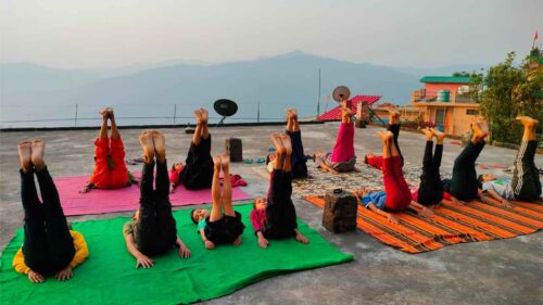 classes for beginners , free yoga classes , free yoga teacher training , free yoga classes for weight loss , free yoga classes online , free yoga certificate , free yoga classes for beginners malayalam , free yoga classes in rishikesh , free yoga class live , online free yoga classes live , 